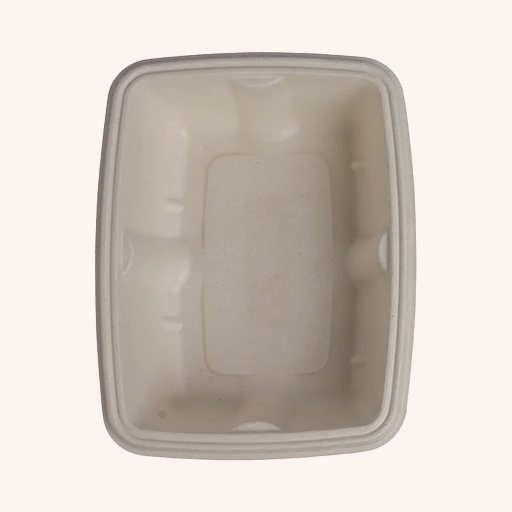 Rectangular Container with Lid