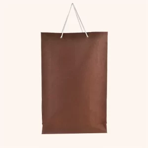 Reusable Paper Bag for Shopping and Carrying