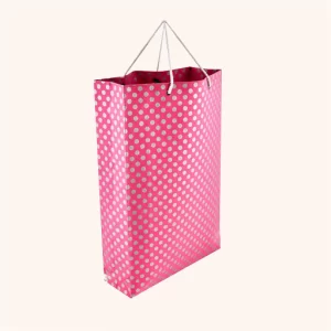 Stylish Paper Handbag for Special Occasion